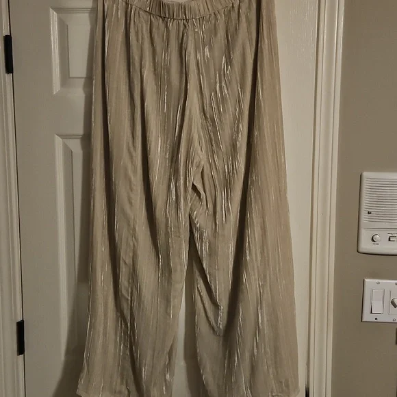 NWT Eileen Fisher Crushed Velvet Wide Leg Pant: Almond Color: Size- Large - Picture 10 of 10